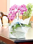 �~�f�B�Ӓ����i3�{���j